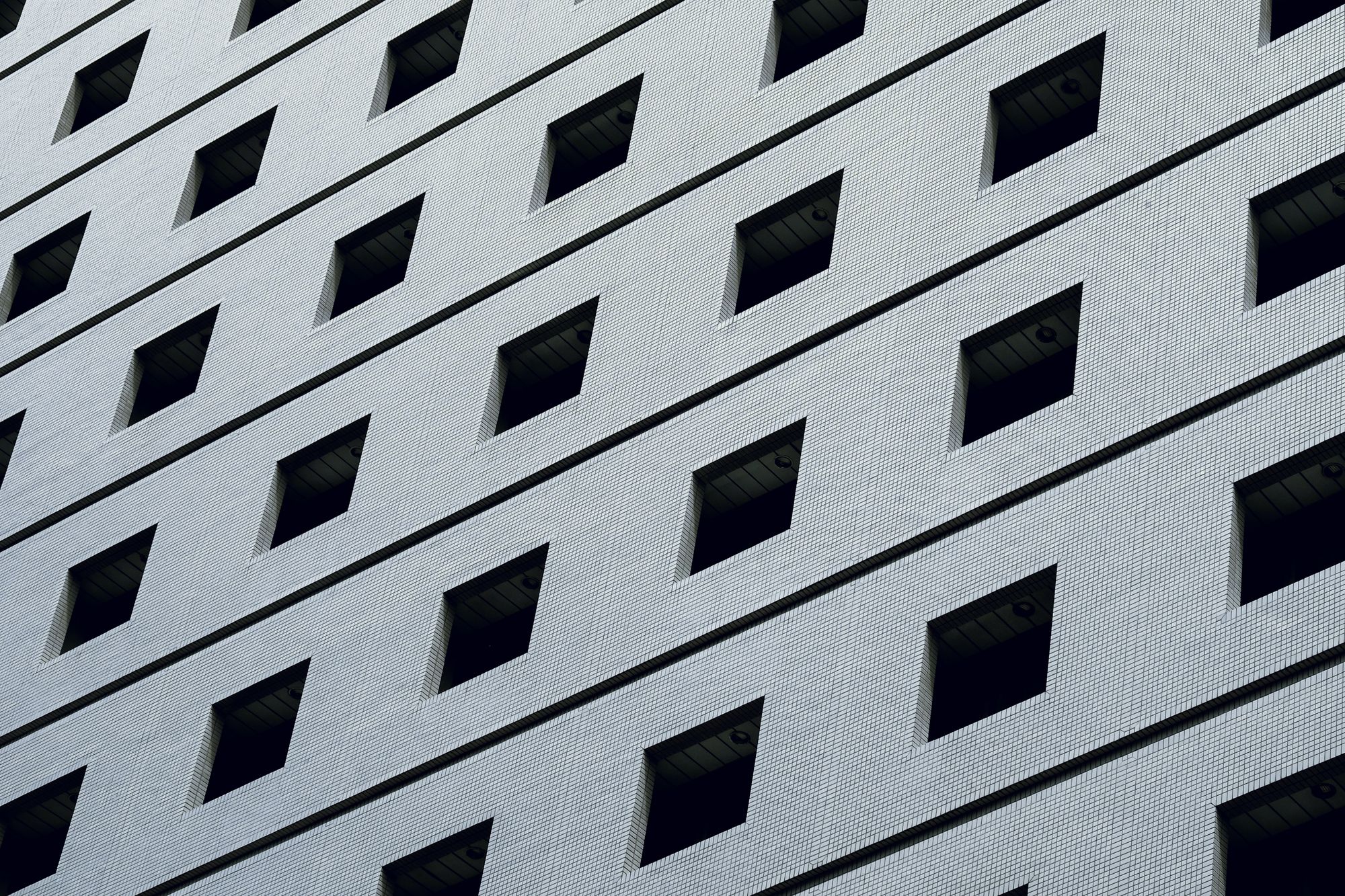 windows windows