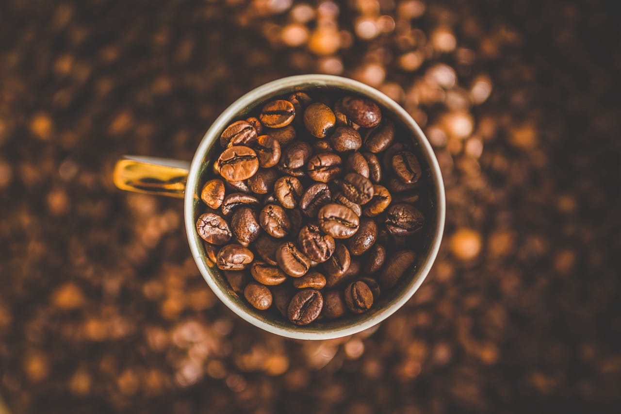 Espresso Shots 8-17-25