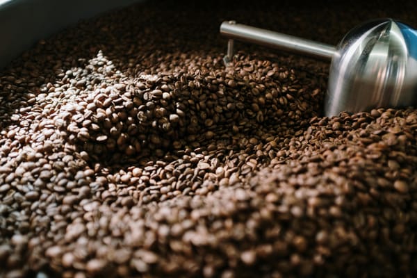 Espresso Shots 3-30-25