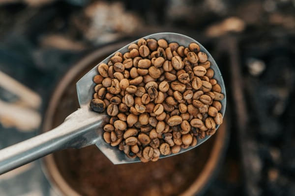 Espresso Shots 3-22-26